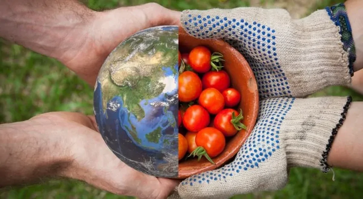 میانگین خودکفایی غذایی کشور چند درصد است؟