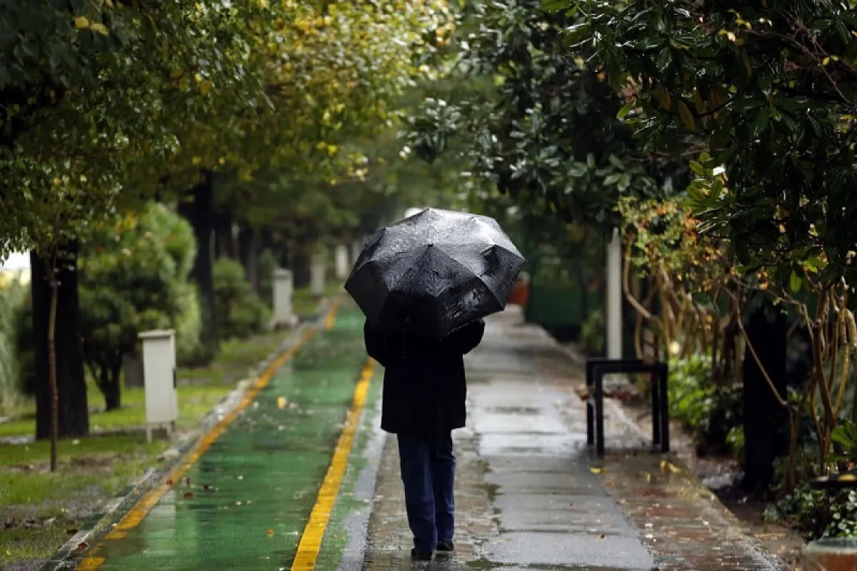 واکنش هواشناسی تهران به بارورسازی ابرها