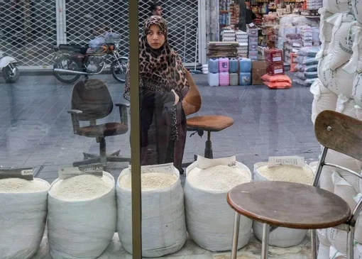 معمای واردات برنج پاکستانی به کشور