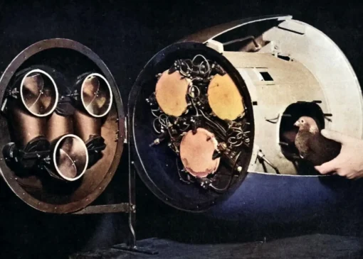 عجیب‌ترین موشک جهان که یک روانشناس ساخت