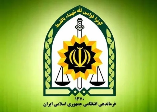 توضیح پلیس درباره بازداشت یک بازیگر معروف