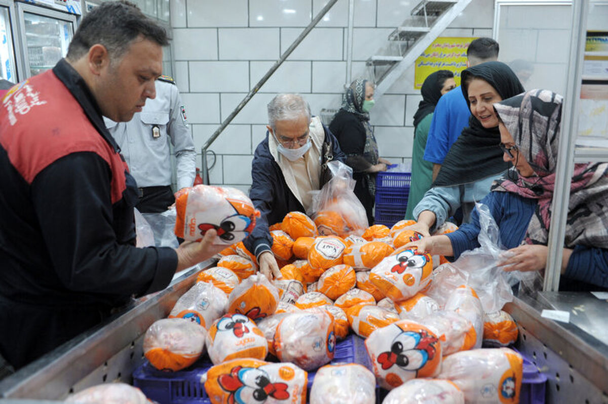 دلیل اصلی افزایش قیمت مرغ فاش شد