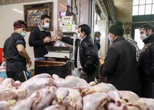 دلیل افزایش قیمت مرغ و گوشت مشخص شد؟