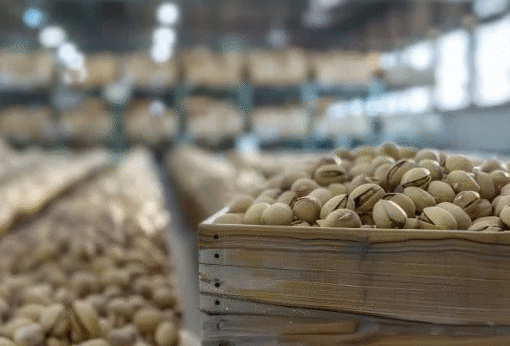 واکنش صفر دولت به انتقال محصول استراتژیک کشور