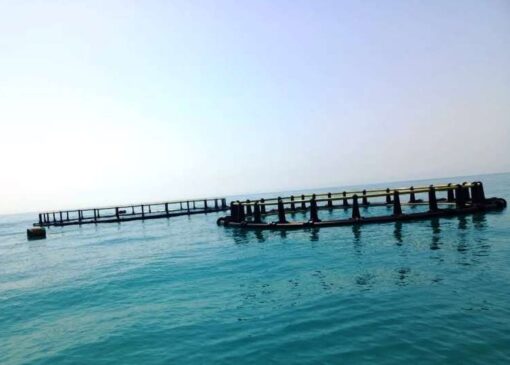 جهانشاهی: ساخت بزرگ‌ترین قفس دریایی کشور در مرحله پایانی است