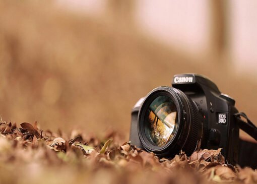 ضرورت پرورش نگاه مستندنگر؛ عکس می‌تواند الهام‌بخش فیلم باشد