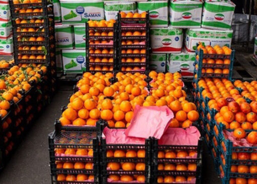 توزیع میوه شب عید با هدف ثبات قیمت و آرامش بازار انجام می‌شود