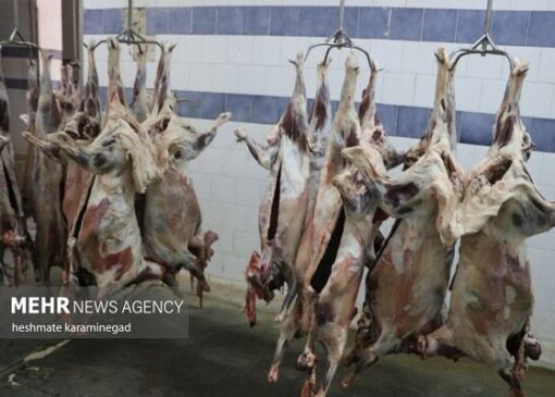 ارز ترجیحی گوشت قرمز حذف شد