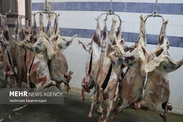 ارز ترجیحی گوشت قرمز حذف شد