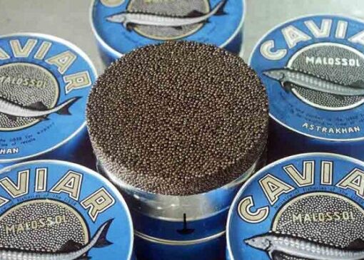 صادرات ۳.۵ تن خاویار در نیمه اول ۱۴۰۴؛ بیشترین متقاضی در کشورهای عربی
