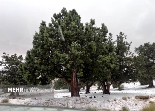 اولین برف پاییزی در ایستگاه ۷ توچال تهران