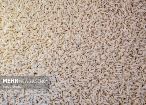 شهرزاد: محموله برنج پاکستانی وارد استان هرمزگان شد