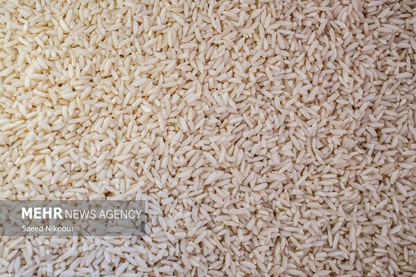 شهرزاد: محموله برنج پاکستانی وارد استان هرمزگان شد