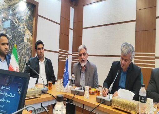 حسینی: تولید مرغ و تخم‌مرغ در خراسان جنوبی ۳ برابر نیاز است