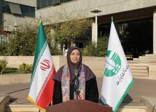 ارسال ۳۵ خودروی عملیاتی به ادارات کل سازمان محیط زیست استان‌ها