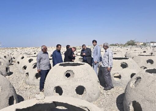 قورچی زاده: اسکله کوهستک موتور توسعه دریا محور است