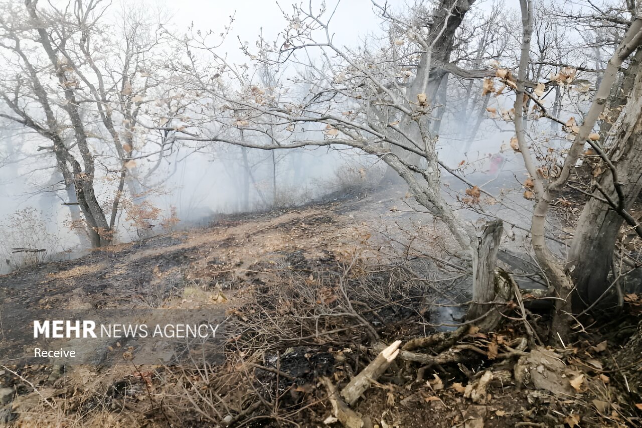 محمدی: شعلههای آتش در ۶.۵ هکتار از جنگل های الیت مهار شد