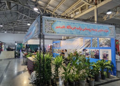 صادق نژاد: ۵۰۰۰ شغل روستایی در مازندران ایجاد شده است