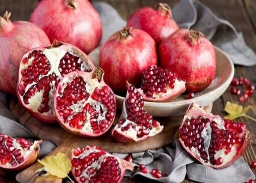 افتتاحیه ششمین دوره جشنواره انار خورهه شهرستان محلات