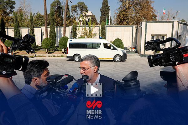 وزیر بهداشت: بالای ۱۷۰ بیماری خاص مشمول بیمه هستند