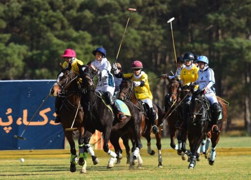 بسپار شیمی سپیدان اصفهان سوم شد؛ گلایه از ابهامات داوری چوگان