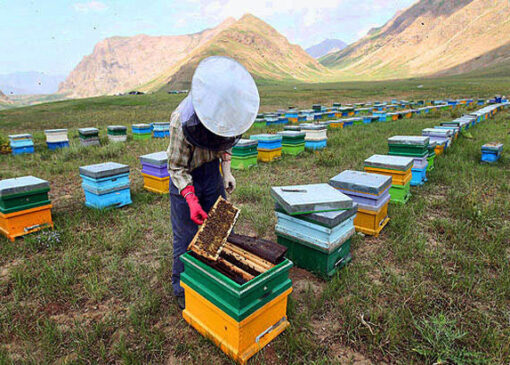 صنعت شیرین؛ در محاصره گرانی و خشکسالی